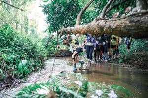 BIB: 
                            <button type="button" onclick="openModal(25473686)" class="btn btn-primary btn-sm float-right btn-popup" data-toggle="modal" data-target=".modal-high-quality">
                        <i class="fas fa-shopping-cart"></i> Add to Cart
                    </button>
                                            <button type="button" onclick="isThisMe(25473686, true)" class="btn btn-success btn-sm float-right btn-popup btn-isme hidden" data-toggle="tooltip" data-placement="bottom" title="นี่คือรูปของคุณใช่ไหม คลิกที่นี่เพื่อเอาเข้าอัลบั้ม">
                        <i class="fas fa-plus"></i> Add to album
                    </button>
                    <button type="button" onclick="isThisMe(25473686, false)" class="btn btn-warning btn-sm float-right btn-popup btn-isnotme hidden">
                        <i class="fas fa-ban"></i> Remove from album
                    </button>